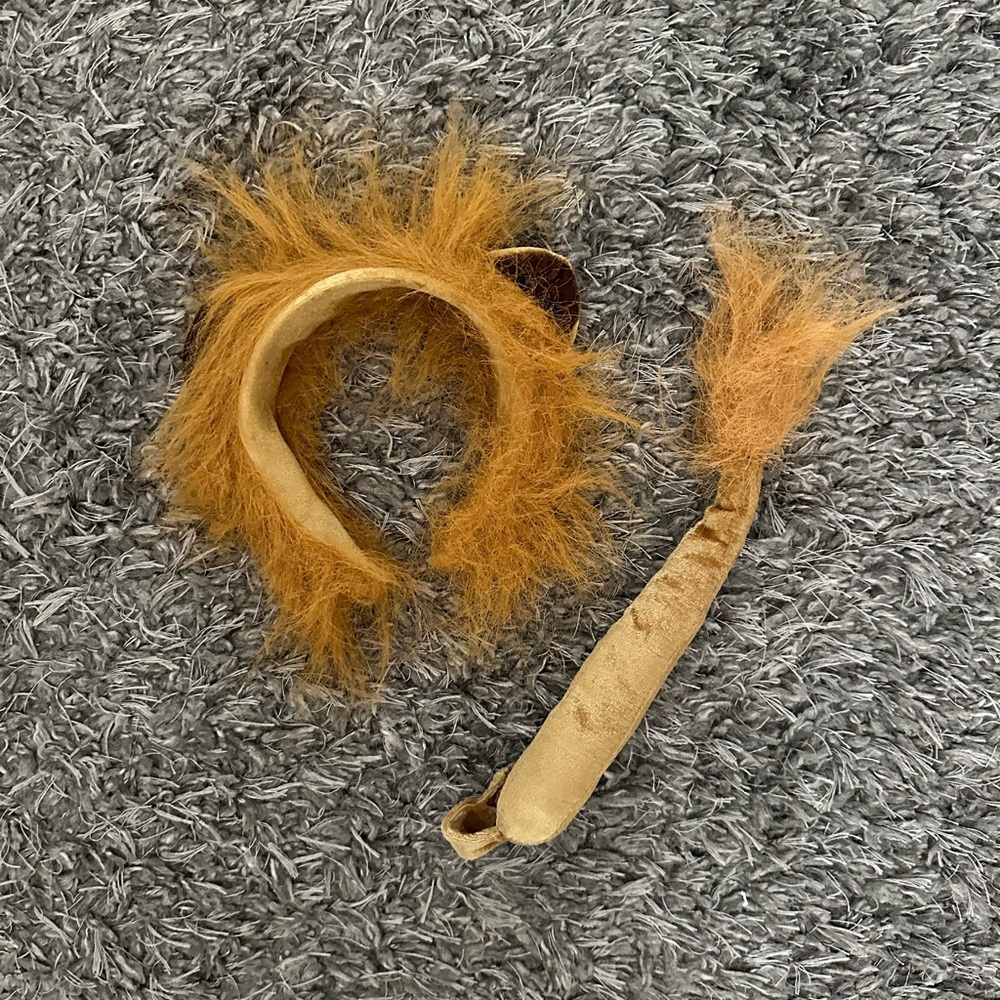 Lion ears and tail